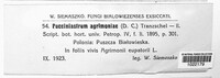 Pucciniastrum agrimoniae image